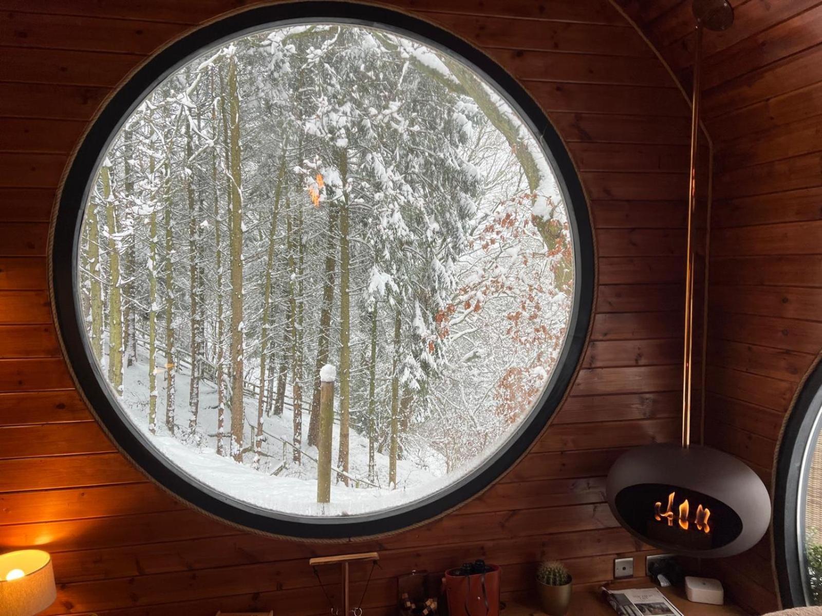 The Pines Treehouse At Treetops Hideouts Richmond  Dış mekan fotoğraf